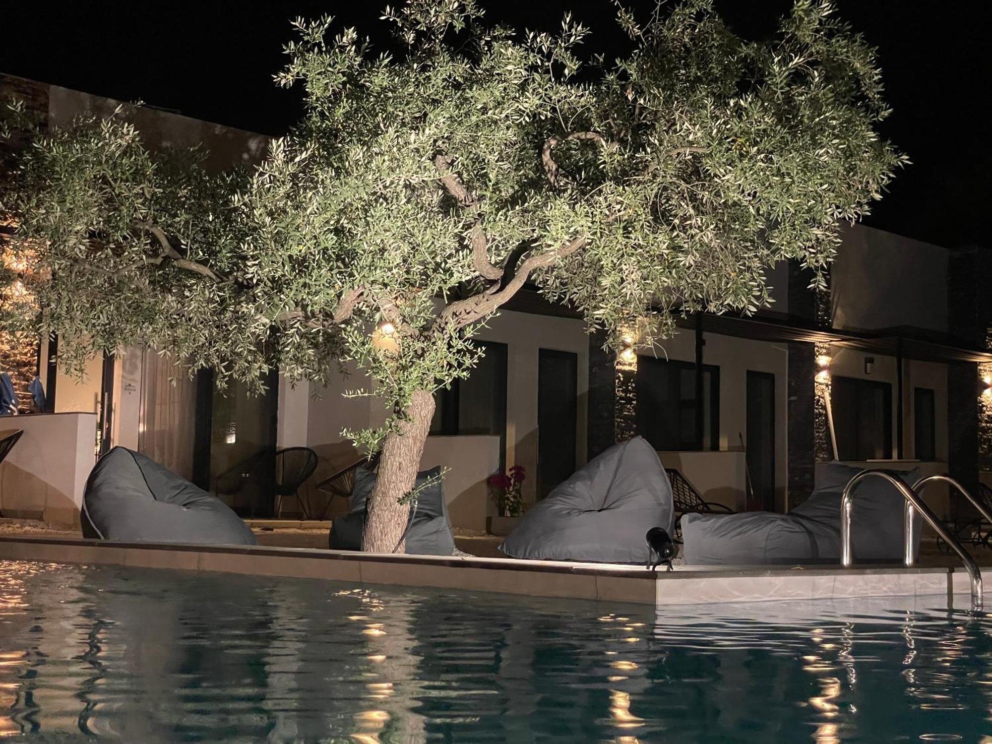 Отель The Olive Hills Скала-Рахониу Экстерьер фото
